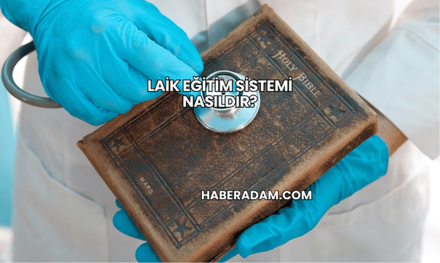 Laik Eğitim Sistemi Nasıldır?