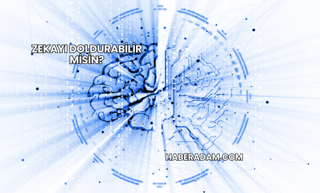 Zekayı Doldurabilir misin?