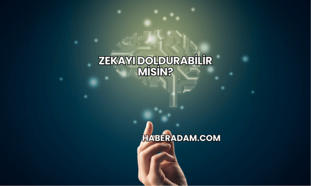 Zekayı Doldurabilir misin?