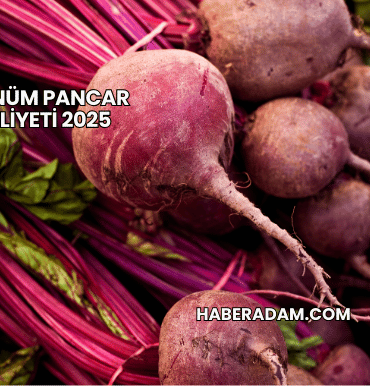 1 Dönüm Pancar Maliyeti 2025