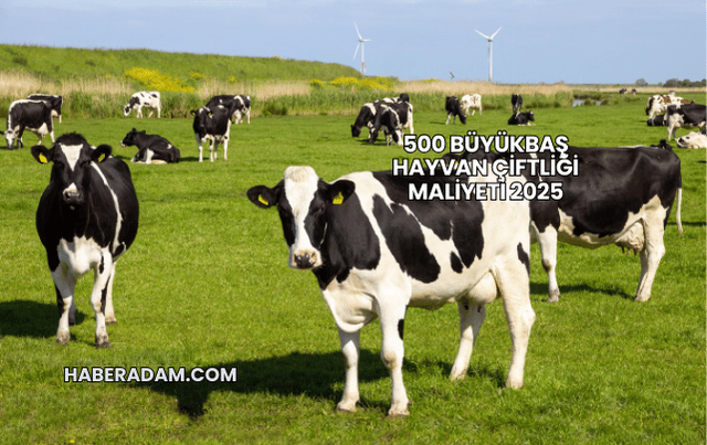 500 Büyükbaş Hayvan Çiftliği Maliyeti 2025