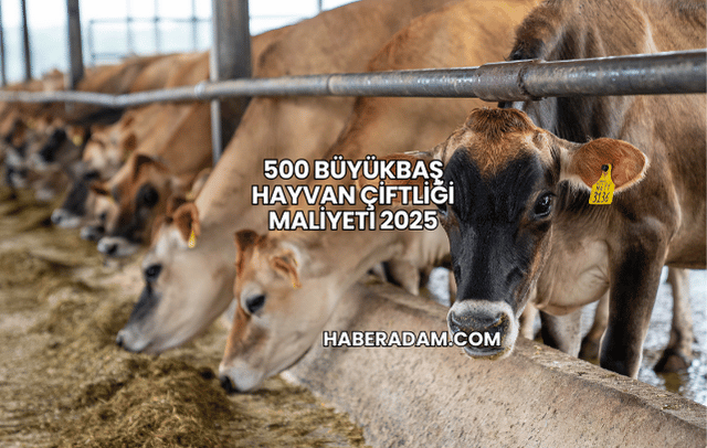 500 Büyükbaş Hayvan Çiftliği Maliyeti 2025