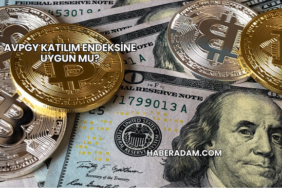 AVPGY Katılım Endeksine Uygun mu?