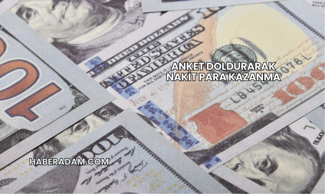 Anket Doldurarak Nakit Para Kazanma