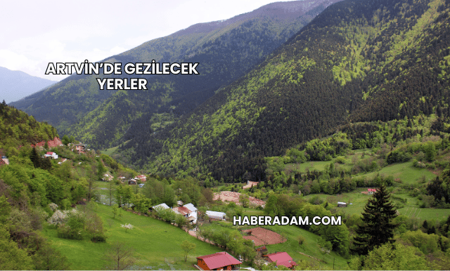 Artvin’de Gezilecek Yerler