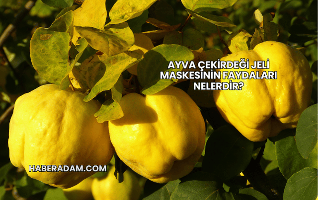 Ayva çekirdeği jeli maskesinin faydaları nelerdir?