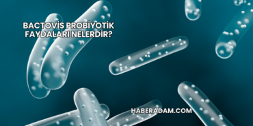 Bactovis probiyotik faydaları nelerdir?