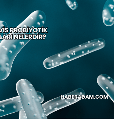 Bactovis probiyotik faydaları nelerdir?