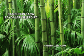 Bambunun saça faydaları nelerdir?