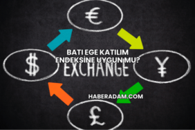 Batı Ege Katılım Endeksine Uygun mu?