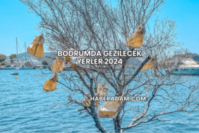 Bodrumda Gezilecek Yerler 2024