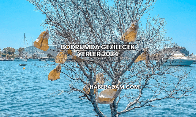 Bodrumda Gezilecek Yerler 2024
