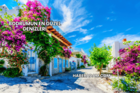 Bodrumun En Güzel Denizleri