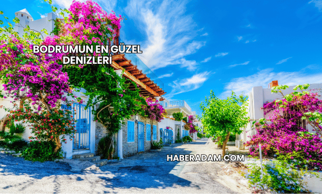 Bodrumun En Güzel Denizleri