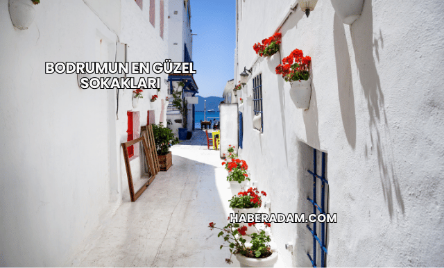 Bodrumun en güzel sokakları