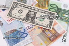 CANTE Katılım Endeksine Uygun mu?