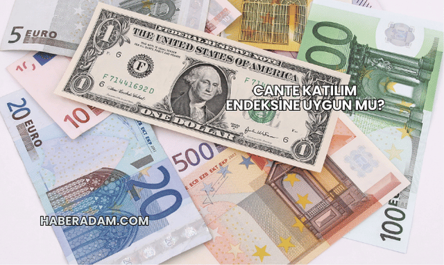 CANTE Katılım Endeksine Uygun mu?