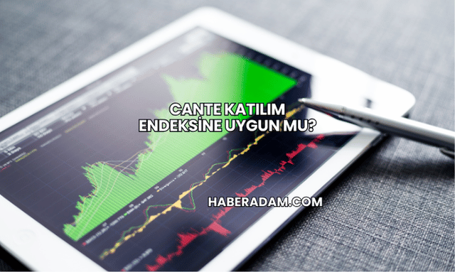 CANTE Katılım Endeksine Uygun mu?