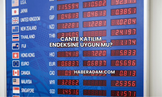 CANTE Katılım Endeksine Uygun mu?