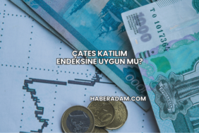ÇATES Katılım Endeksine Uygun mu?