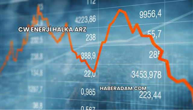 CW Enerji Halka Arz