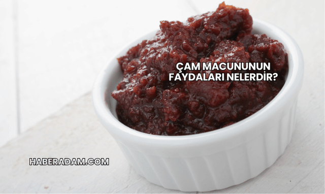 Çam Macununun Faydaları Nelerdir?