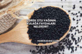 Çörek Otu Yağının Kulağa Faydaları Nelerdir?