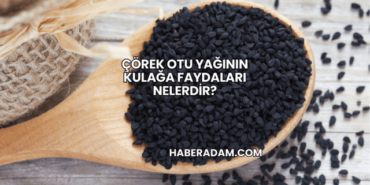 Çörek Otu Yağının Kulağa Faydaları Nelerdir?