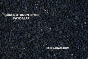 Çörek Otunun Beyne Faydaları