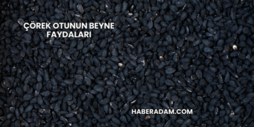 Çörek Otunun Beyne Faydaları