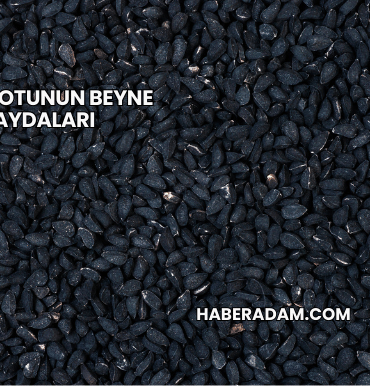 Çörek Otunun Beyne Faydaları