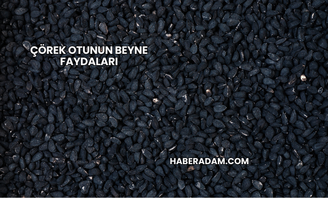 Çörek Otunun Beyne Faydaları