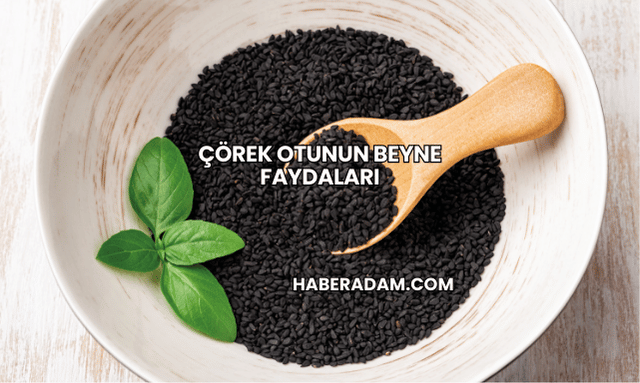 Çörek Otunun Beyne Faydaları