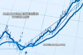 DMR Katılım Endeksine Uygun mu?