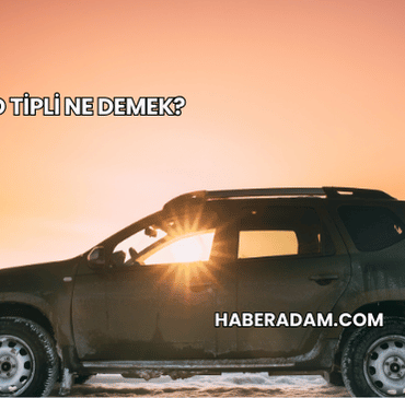 Dacia SD Tipli Ne Demek?