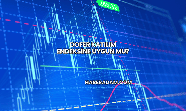 Dofer Katılım Endeksine Uygun mu?