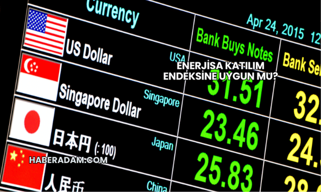 Enerjisa Katılım Endeksine Uygun mu?