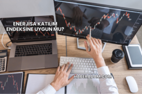 Enerjisa Katılım Endeksine Uygun mu?