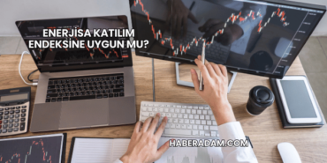 Enerjisa Katılım Endeksine Uygun mu?