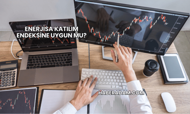 Enerjisa Katılım Endeksine Uygun mu?