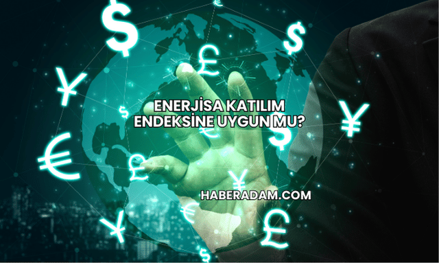 Enerjisa Katılım Endeksine Uygun mu?