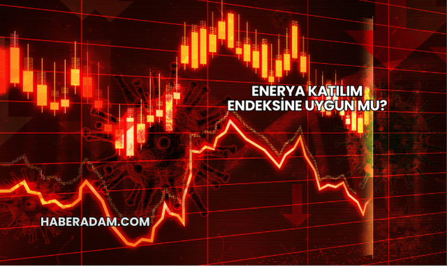 Enerya Katılım Endeksine Uygun mu?