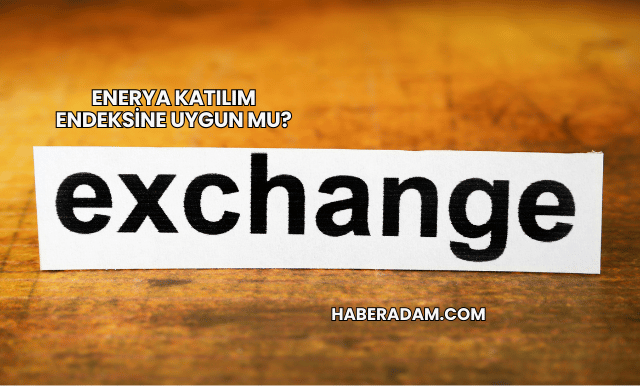 Enerya Katılım Endeksine Uygun mu?