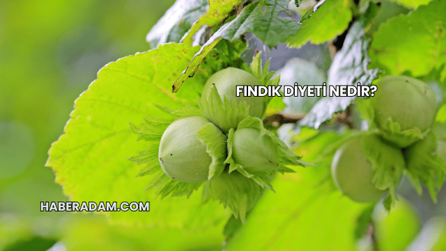 Fındık Diyeti Nedir?