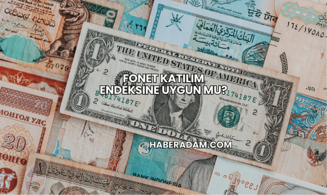 Fonet Katılım Endeksine Uygun mu?