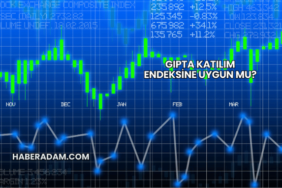 Gıpta Katılım Endeksine Uygun mu?