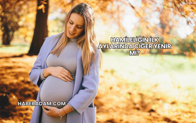 Hamileliğin İlk Aylarında Ciğer Yenir mi?