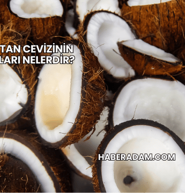 Hindistan Cevizinin Faydaları Nelerdir?