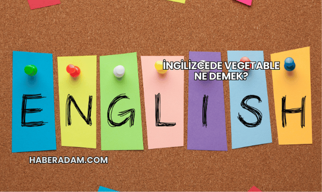İngilizcede Vegetable Ne Demek?