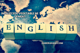 İngilizcede Vegetable Ne Demek?
